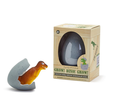 Mystery Growing Dino in Egg in Gift Box  Two's Company  Paper Skyscraper Gift Shop Charlotte