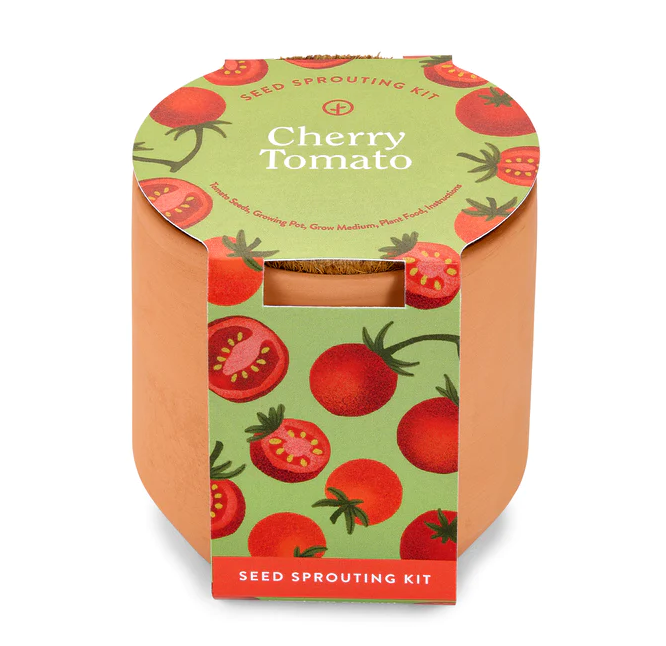 Cherry Tomato Tiny Terracotta Garden Modern Sprout  Paper Skyscraper Gift Shop Charlotte