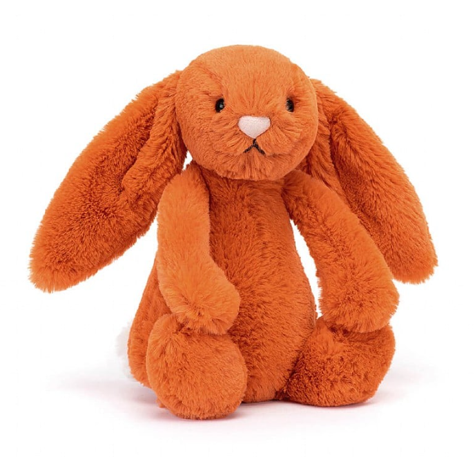 Bashful Spring Bunny | Assorted Stuffed Animals Jellycat  Paper Skyscraper Gift Shop Charlotte