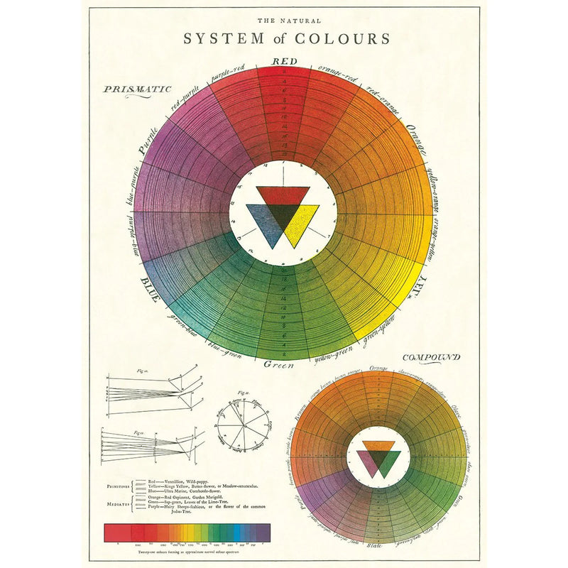 Cavallini | Color Wheel Poster Kit