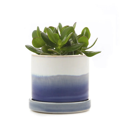 Blue Layers Minute Pot + Saucer | Chive Vases & Planters CHIVE  Paper Skyscraper Gift Shop Charlotte