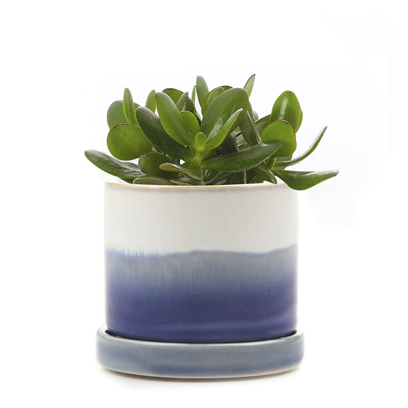 Blue Layers Minute Pot + Saucer | Chive Vases & Planters CHIVE  Paper Skyscraper Gift Shop Charlotte