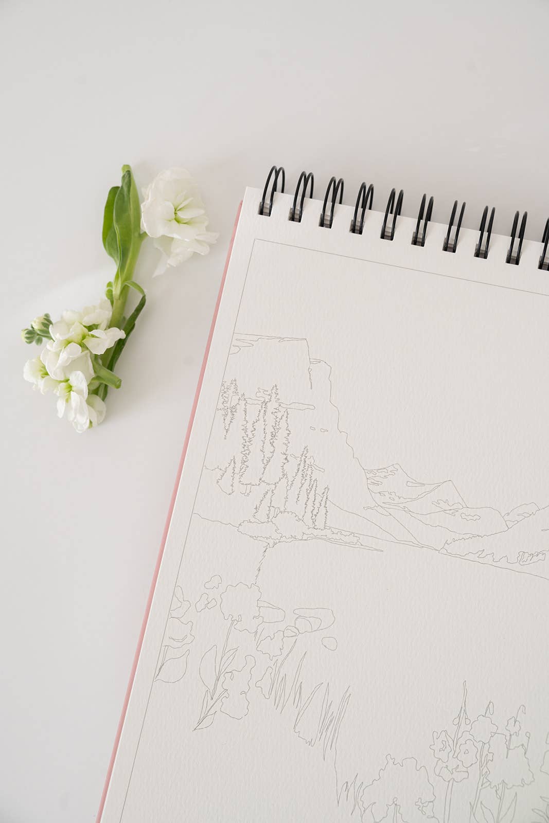 National Parks Watercoloring Book-Outlines w/Video Tutorials