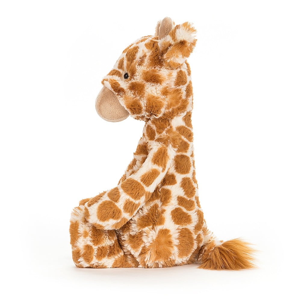 Bashful Giraffe | Medium Stuffed Animals Jellycat  Paper Skyscraper Gift Shop Charlotte