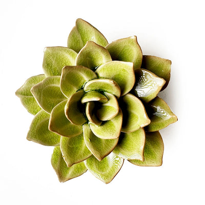 Medium Green Ceramic Succulent Flower with Keyhole | Chive Home Decor CHIVE  Paper Skyscraper Gift Shop Charlotte