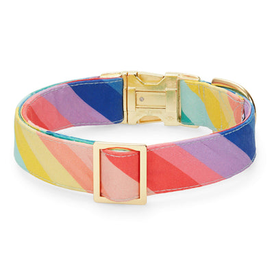 Over the Rainbow Dog Collar: XS  The Foggy Dog  Paper Skyscraper Gift Shop Charlotte