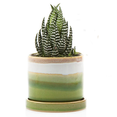 Green Layers Minute Pot + Saucer | Chive Vases & Planters CHIVE  Paper Skyscraper Gift Shop Charlotte