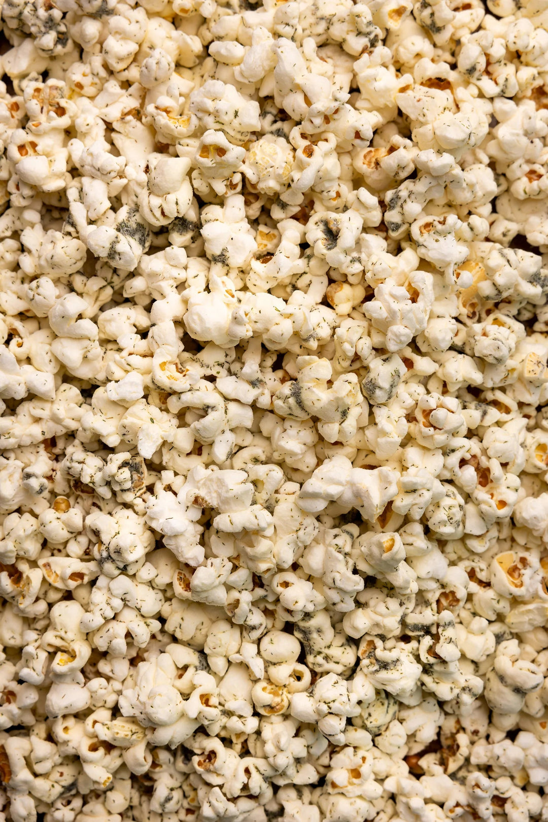 Dill Pickle Popcorn Local Food Poppy Hand-Crafted Popcorn Paper Skyscraper Gift Shop Charlotte