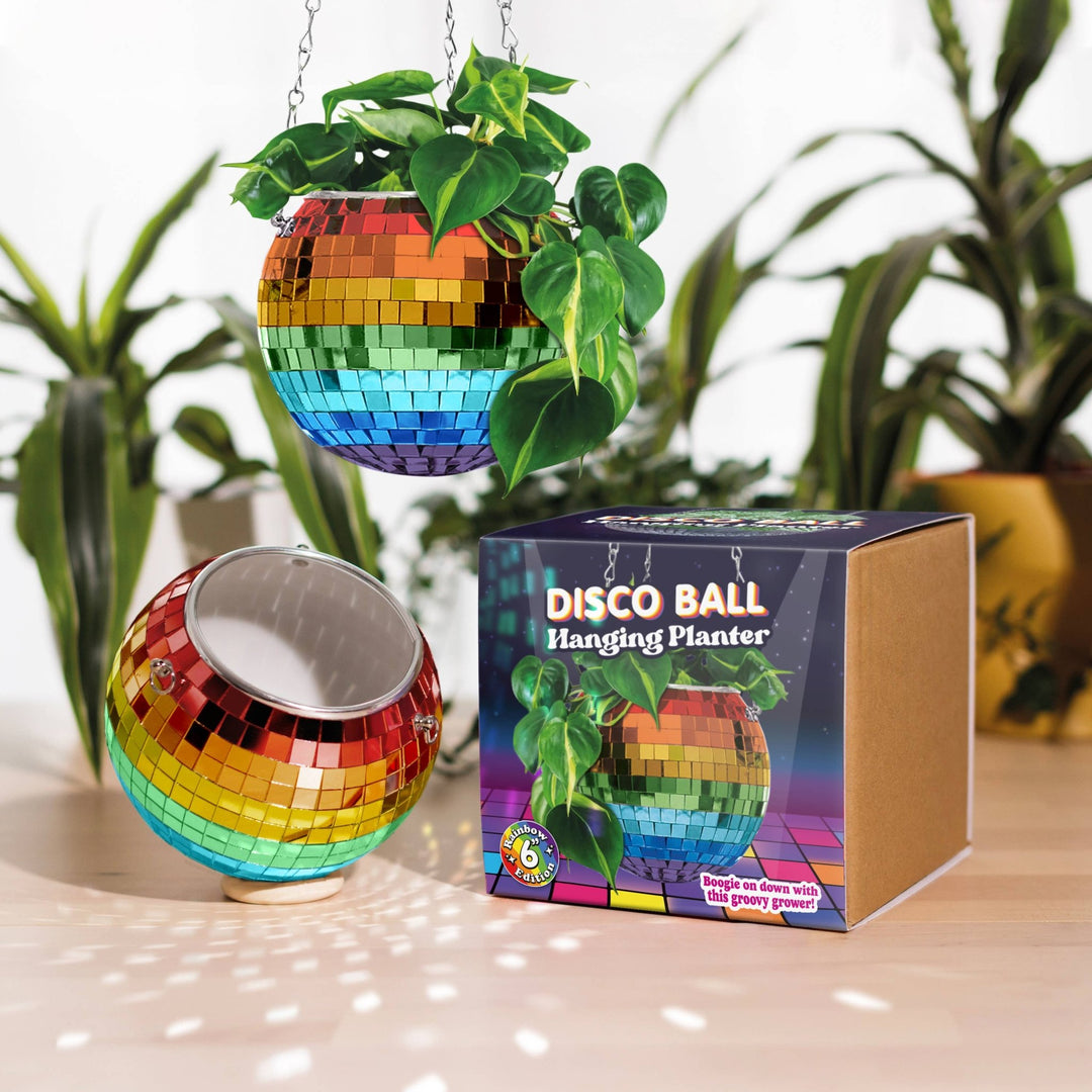 Disco Ball Rainbow Hanging Planter Home Decor - Vases & Pots Bubblegum Stuff Paper Skyscraper Gift Shop Charlotte