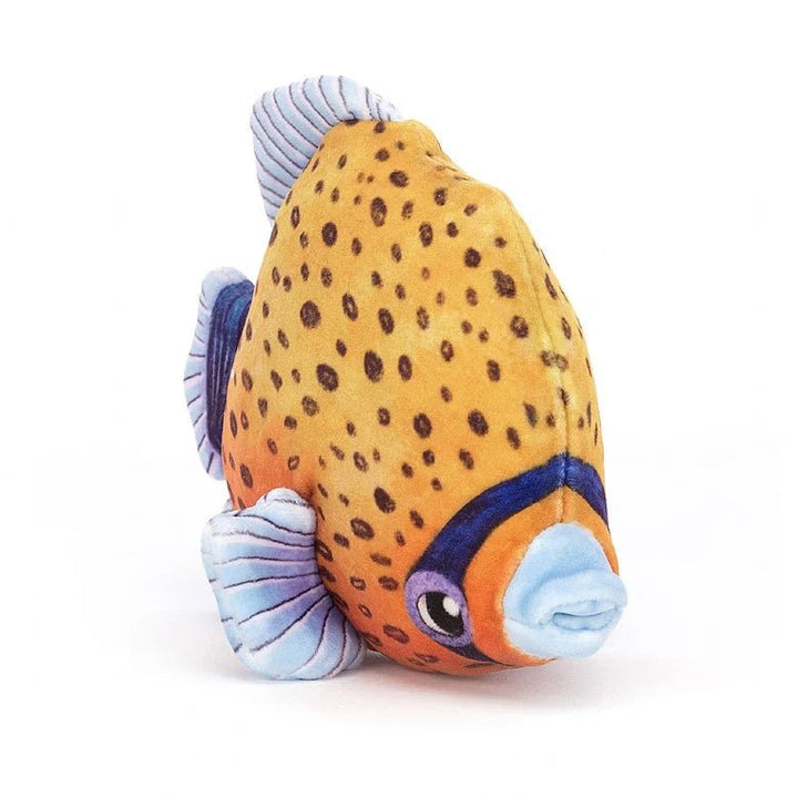 Fishiful Orange Stuffed Animals Jellycat  Paper Skyscraper Gift Shop Charlotte