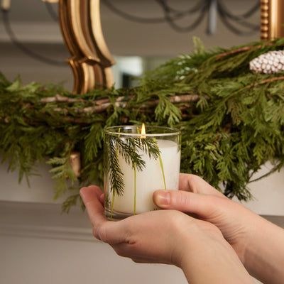 Frasier Fir Heritage Poured Candle Pine Needle Design Candles Thymes  Paper Skyscraper Gift Shop Charlotte