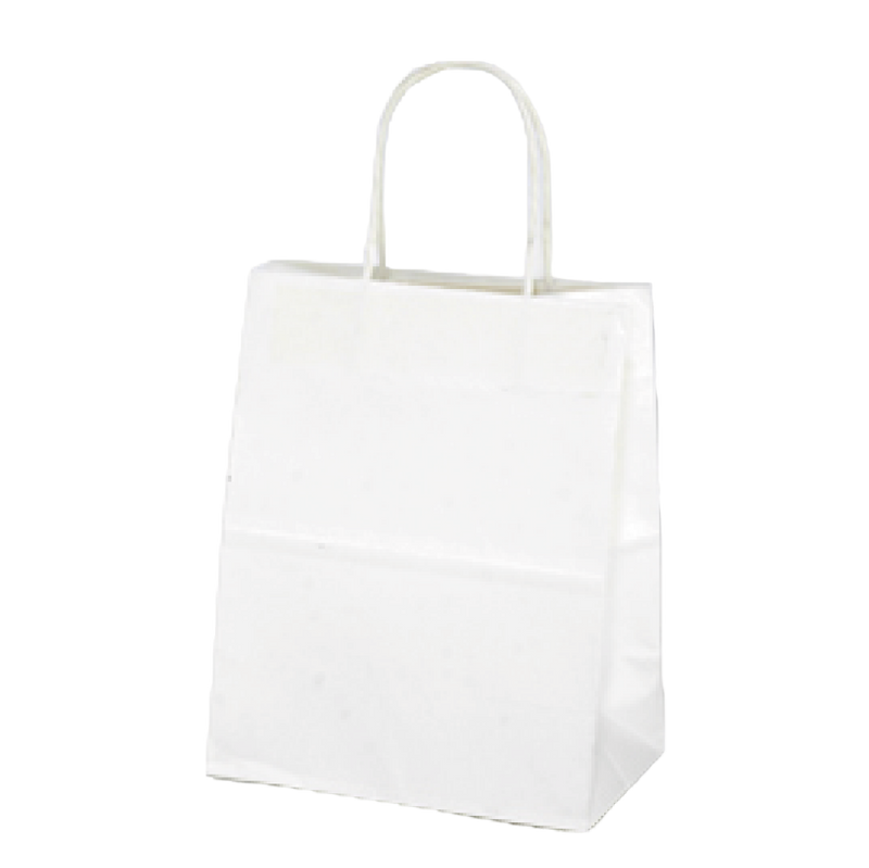 White Paper Gift Bag Bags Carolina Retail Packaging  Paper Skyscraper Gift Shop Charlotte