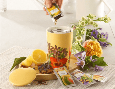 Kati Tea Cup with Infuser | Paradis Tea Cups Tea Forte  Paper Skyscraper Gift Shop Charlotte