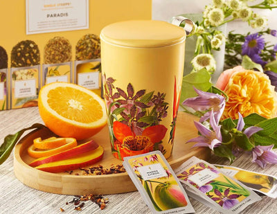 Kati Tea Cup with Infuser | Paradis Tea Cups Tea Forte  Paper Skyscraper Gift Shop Charlotte