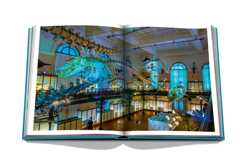 Monte Carlo by Assouline | Hardcover BOOK Assouline  Paper Skyscraper Gift Shop Charlotte