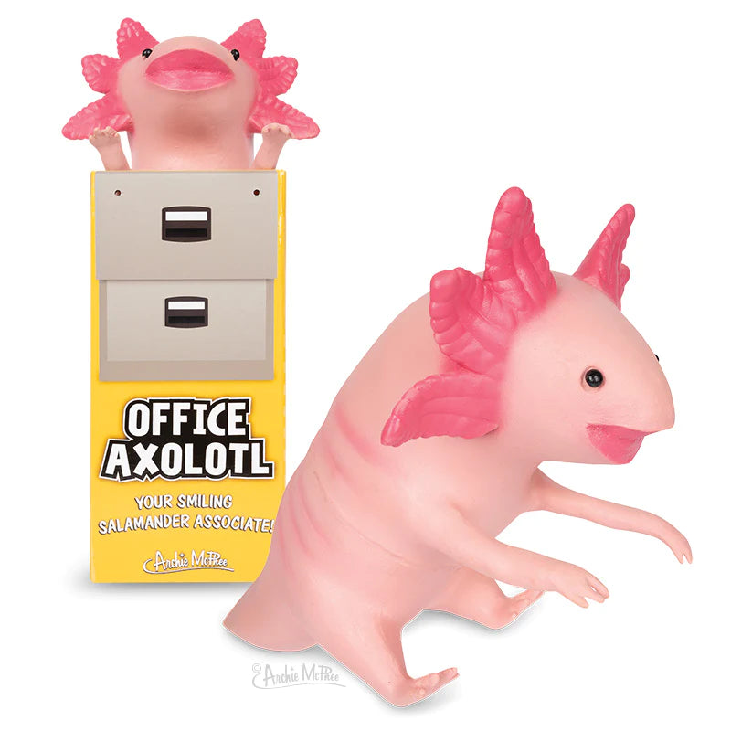 Office Axolotl Gifts & Novelty Accoutrements  Paper Skyscraper Gift Shop Charlotte