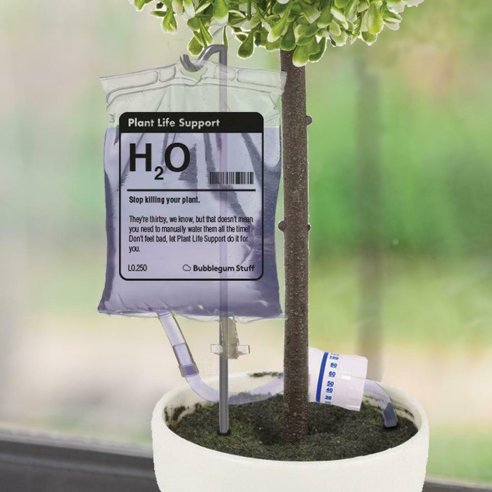 Plant Life Support Garden Bubblegum Stuff  Paper Skyscraper Gift Shop Charlotte