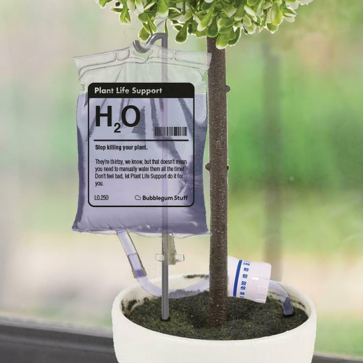 Plant Life Support Garden Bubblegum Stuff  Paper Skyscraper Gift Shop Charlotte