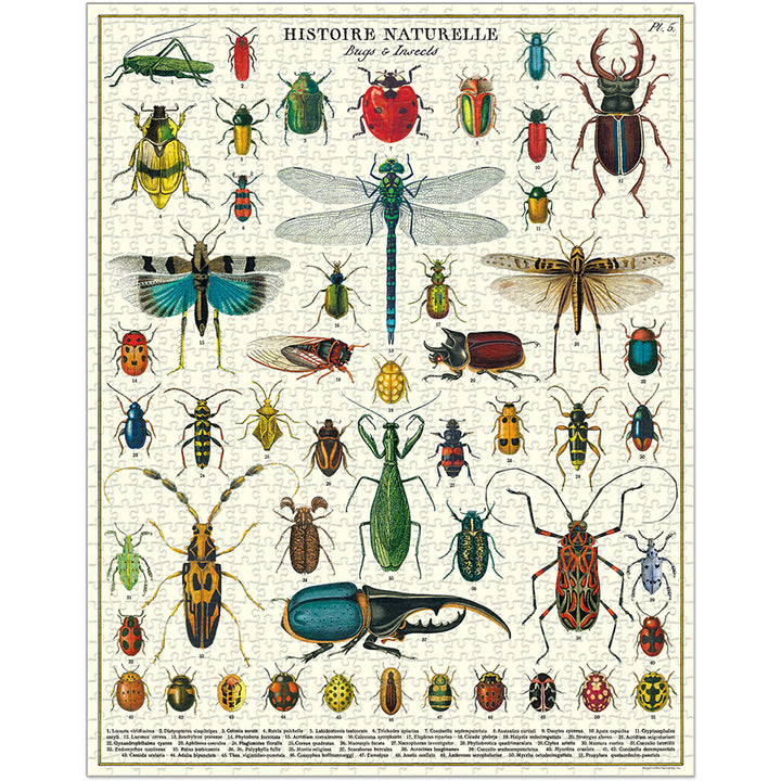 1,000 Piece Puzzle Bugs & Insects Jigsaw Puzzles Cavallini Papers & Co., Inc.  Paper Skyscraper Gift Shop Charlotte