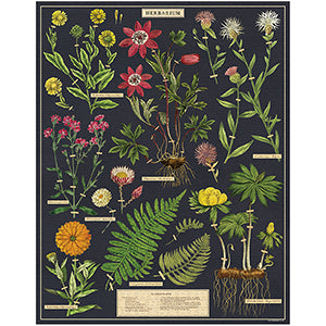 1,000 Piece Puzzle | Herbarium