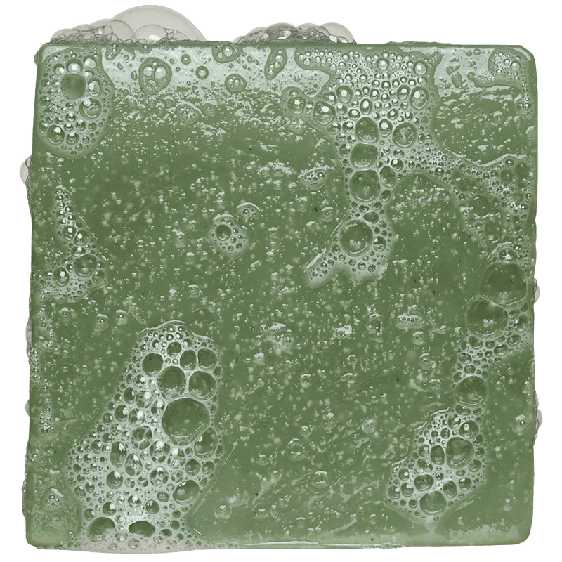 Rainforest Rapids Soap Soaps Dr Squatch Paper Skyscraper Gift Shop Charlotte