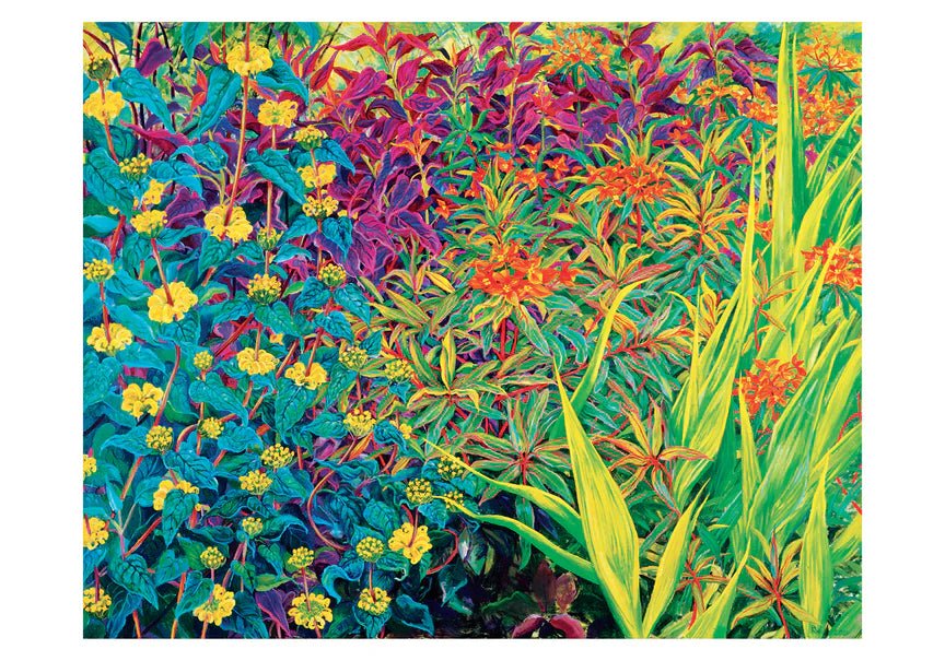 Rosalind Wise: Garden Border Small Notecards Boxed Cards Pomegranate  Paper Skyscraper Gift Shop Charlotte