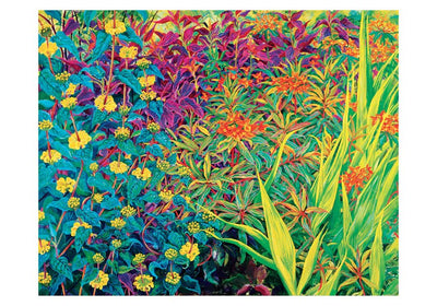 Rosalind Wise: Garden Border Small Notecards Boxed Cards Pomegranate  Paper Skyscraper Gift Shop Charlotte