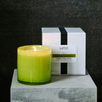 Rosemary Eucalyptus | Signature 15.5oz Candle Candles Lafco  Paper Skyscraper Gift Shop Charlotte