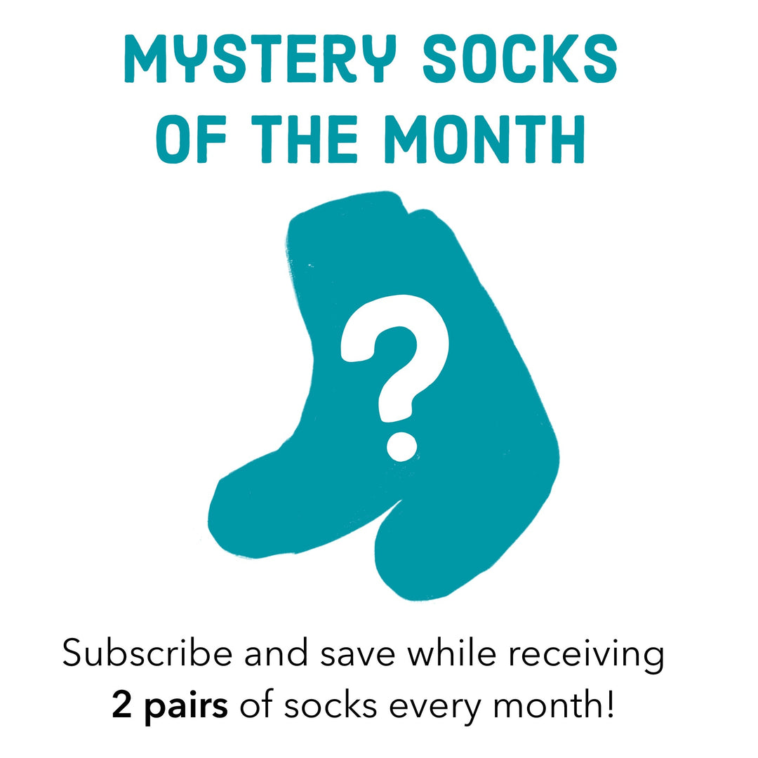 Socks of the Month  Paper Skyscraper  Paper Skyscraper Gift Shop Charlotte