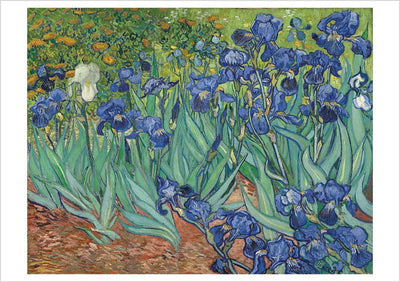 Vincent van Gogh Irises Notecard Cards Pomegranate  Paper Skyscraper Gift Shop Charlotte