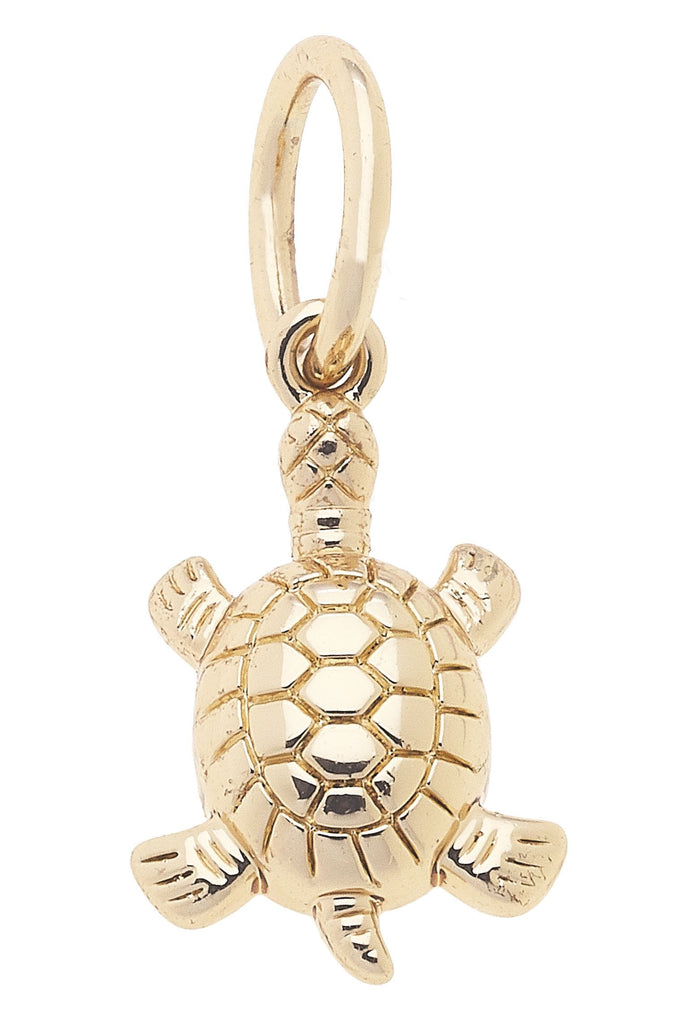 Sea Turtle Charm Accessories Canvas Style Paper Skyscraper Gift Shop Charlotte
