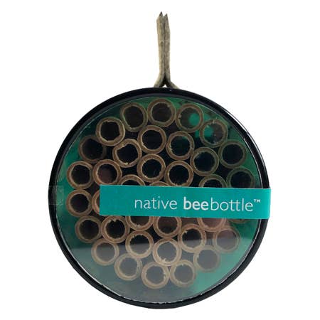 Native Bee Bottle  Potting Shed Creations, Ltd.  Paper Skyscraper Gift Shop Charlotte