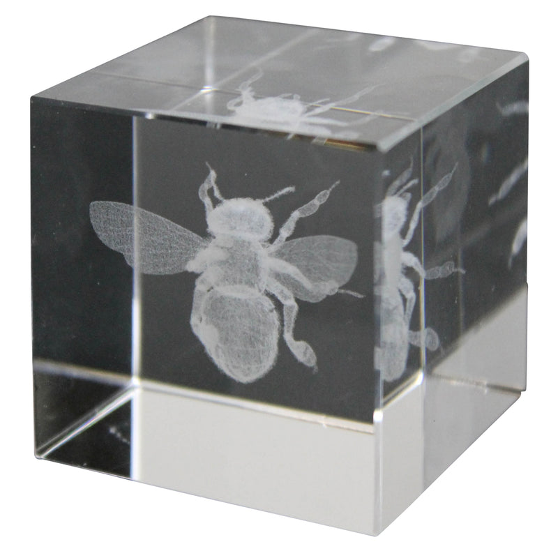 Glass Bee Hologram Home Decor HomArt  Paper Skyscraper Gift Shop Charlotte