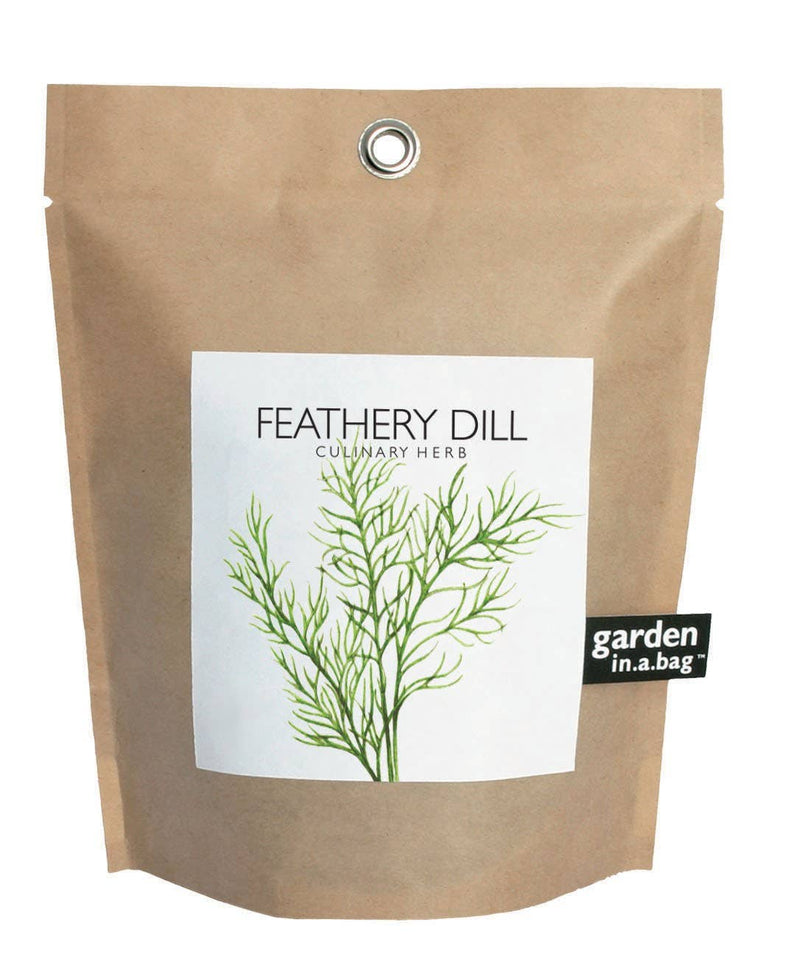 Garden in a Bag | Feathery Dill  Potting Shed Creations, Ltd.  Paper Skyscraper Gift Shop Charlotte