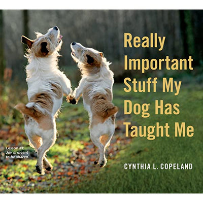 Really Important Stuff My Dog Has Taught Me by Cynthia L Copeland | Paperback BOOK Workman  Paper Skyscraper Gift Shop Charlotte