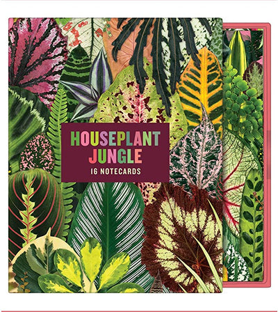 Houseplant Jungle Boxed Cards Boxed Cards Chronicle  Paper Skyscraper Gift Shop Charlotte