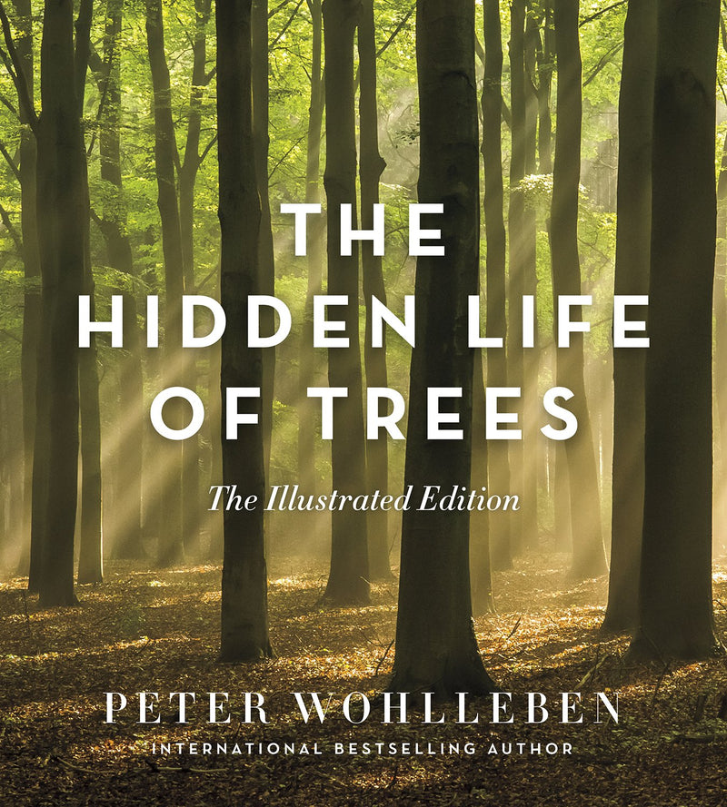 The Hidden Life of Trees : The Illustrated Edition by Peter Wohlleben | Hardcover