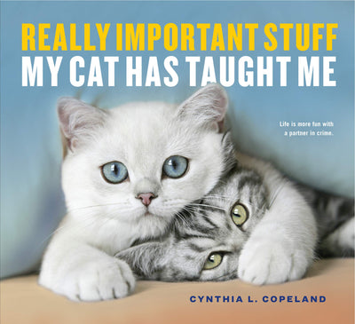 Really Important Things My Cat Taught Me by Cynthia L Copeland | Paperback BOOK Workman  Paper Skyscraper Gift Shop Charlotte