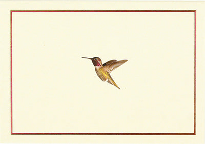 Hummingbird Flight Note Cards Boxed Cards Peter Pauper Press, Inc.  Paper Skyscraper Gift Shop Charlotte