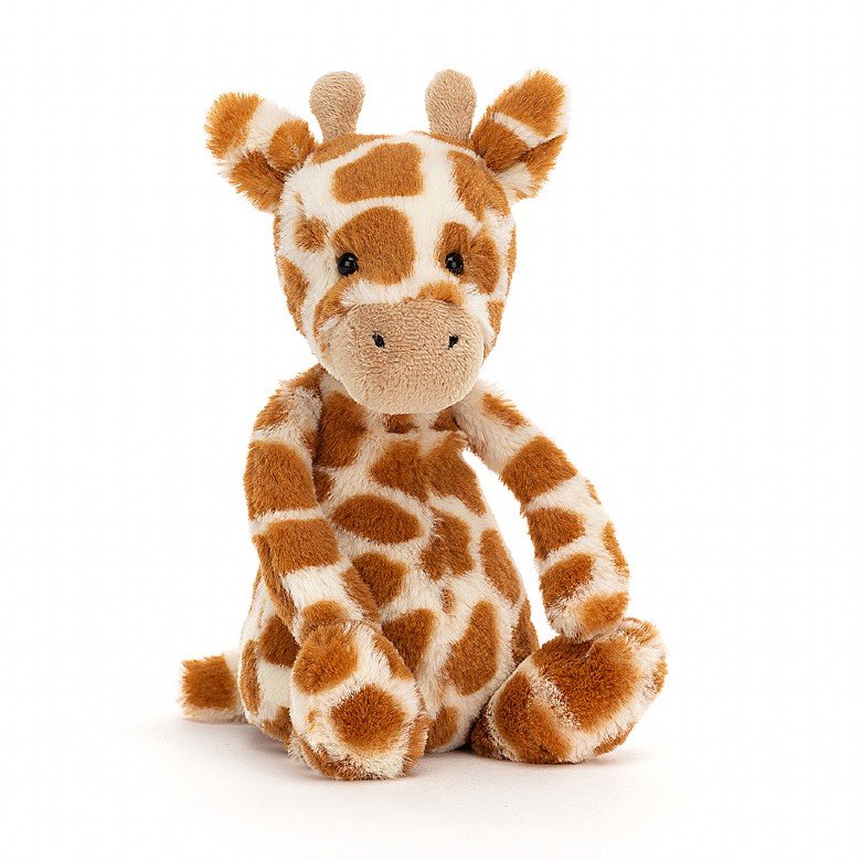 Bashful Giraffe - Small Stuffed Animals Jellycat  Paper Skyscraper Gift Shop Charlotte