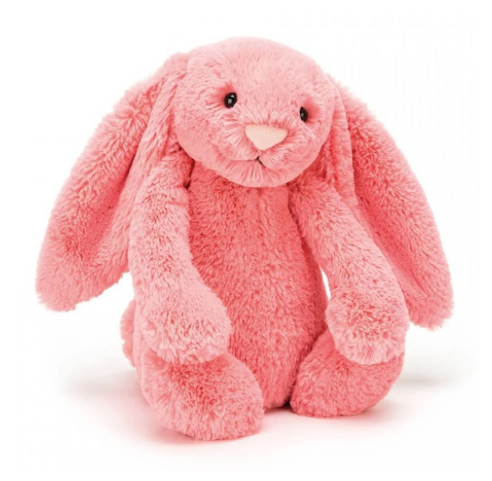 Bashful Coral Bunny Stuffed Animals Jellycat  Paper Skyscraper Gift Shop Charlotte