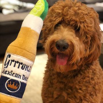 Grrrona Beer Dog Toy | XL Pets Haute Diggity Dog  Paper Skyscraper Gift Shop Charlotte