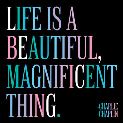 Magnet | Life is a Beautiful Thing