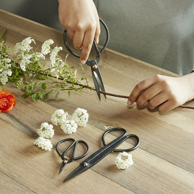 Check out our Garden Shears S/3 now at PaperSkyscraper.com