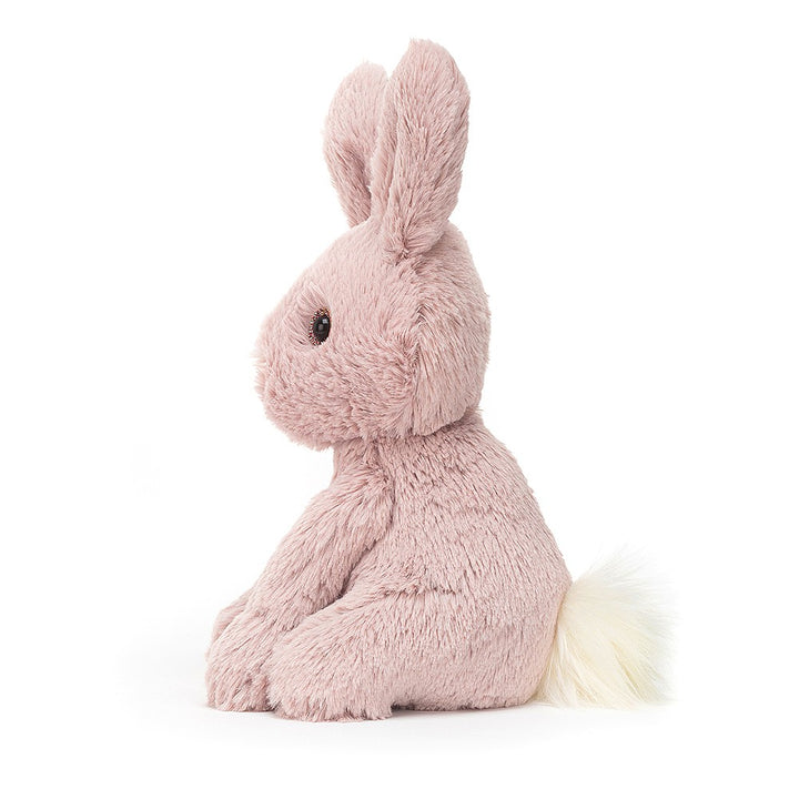 Starry-Eyed Bunny Stuffed Animals Jellycat  Paper Skyscraper Gift Shop Charlotte