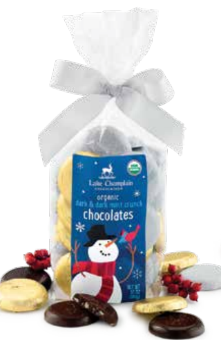 Winter Coins Gift Bag