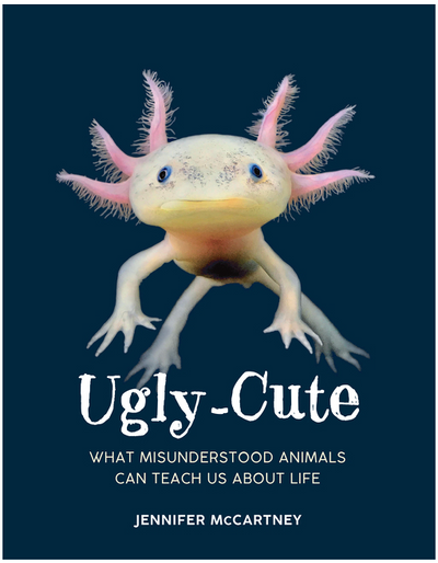 Ugly-Cute: What Misunderstood Animals Can Teach Us about Life by Jennifer McCartney | Hardcover BOOK Harper Collins  Paper Skyscraper Gift Shop Charlotte
