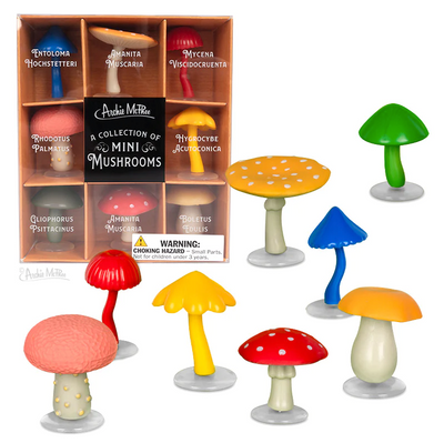 A Collection of Mini Mushrooms Jokes & Novelty Accoutrements  Paper Skyscraper Gift Shop Charlotte