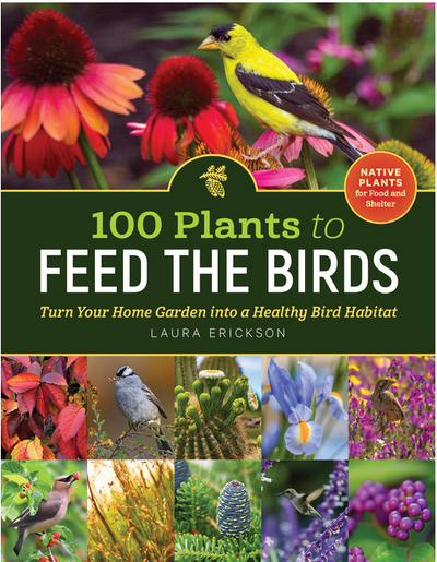 100 Plants to Feed the Birds: Turn Your Home Garden Into a Healthy Bird Habitat BOOK Workman  Paper Skyscraper Gift Shop Charlotte