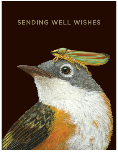 Well Wishes Warbler Card Cards Hester & Cook  Paper Skyscraper Gift Shop Charlotte